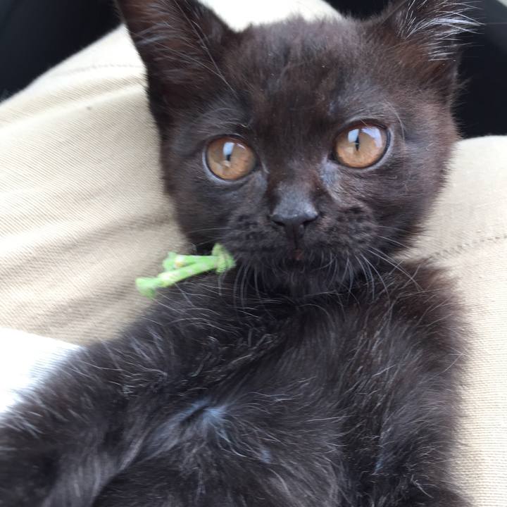 21878ba4 0c4d 4df7 87d9 e33d4ead049e 1559548985227