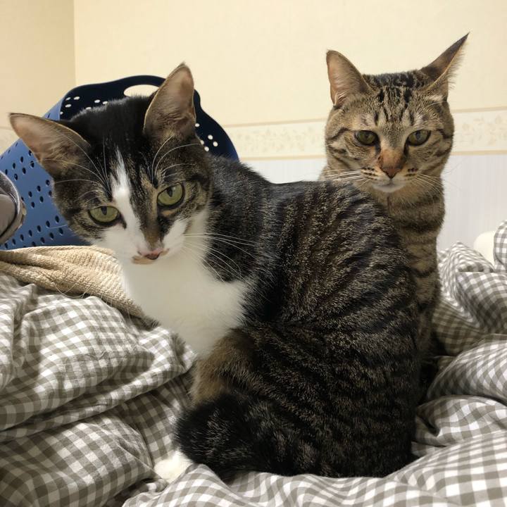 2187911e 0d65 4095 921a 145d611ce492 1515545881213