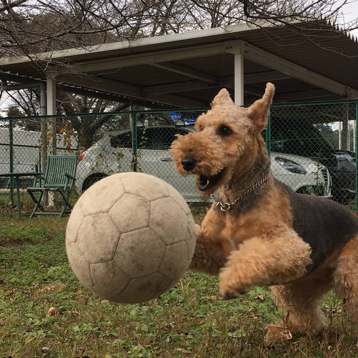 2187a0cd ee4b 4d59 ae32 cd8521fd7f5f 1510543278169