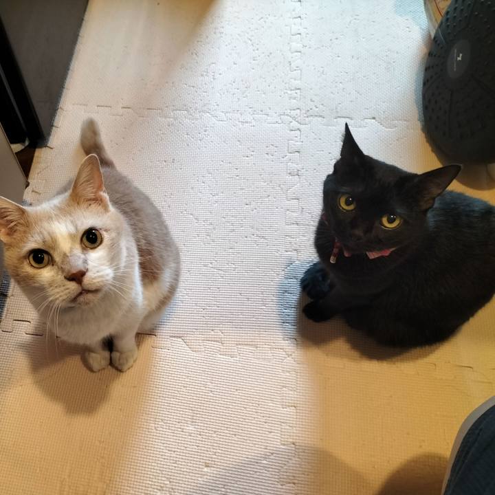 2187afc4 445b 4ee6 8222 1f91edf6fb38 1631921004643