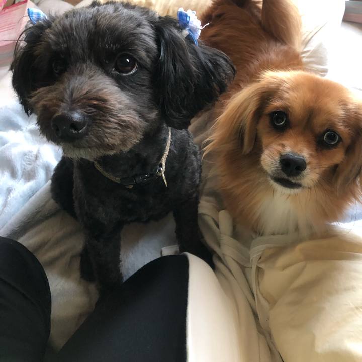 2187d011 b3fa 497d b958 8985a36b7ae3 1542609903289