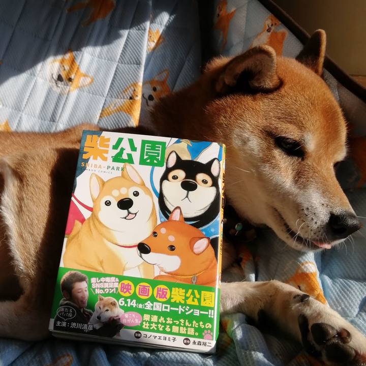 21884f56 129d 4cb5 a948 821fa5e38cce 1604034366887