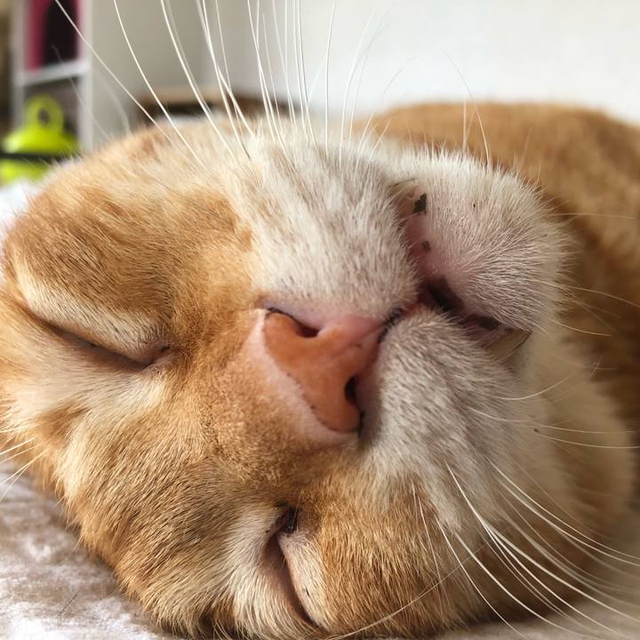 21885a22 54f6 46e7 99ba e49fdd3968dc 1596350203481