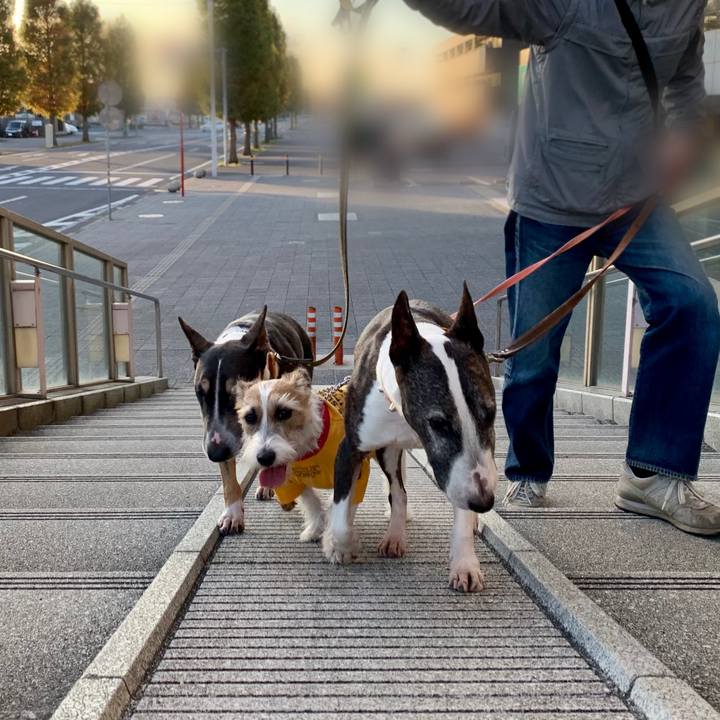 21885bf0 3ad6 417e a415 ae685c41b0cf 1606040632032