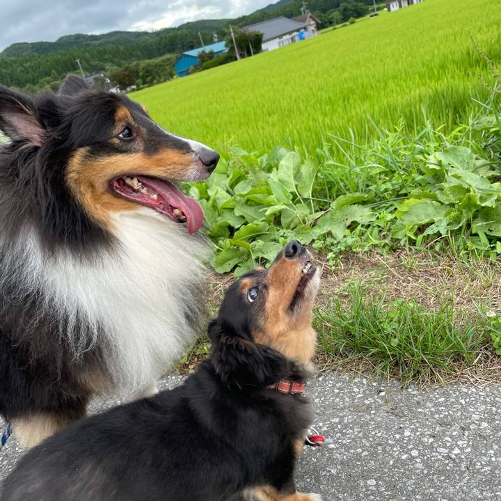 21889967 a79a 433d 8eb5 14f477eb8a64 1628494284926