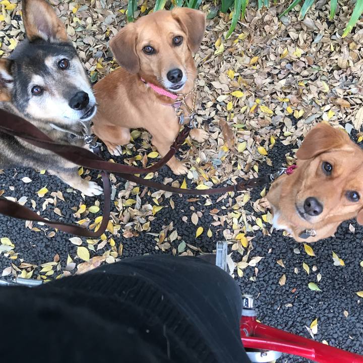 21889c76 187d 47e1 958f d64592bfd914 1510100255932