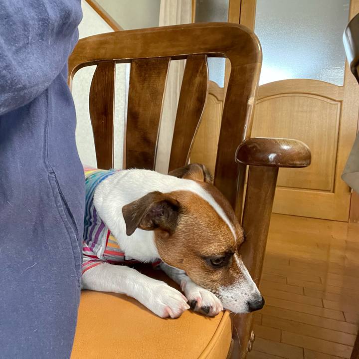 2188e53c b276 4ede a627 470aafbefac9 1632791158016