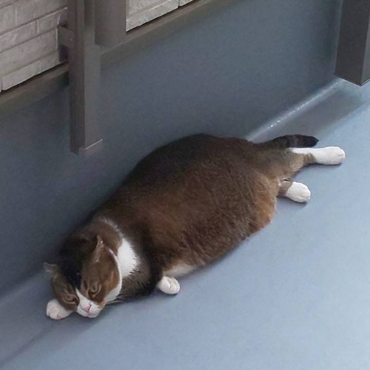 218936b2 d710 4823 8c22 c6003ff61c7a 1659754715071