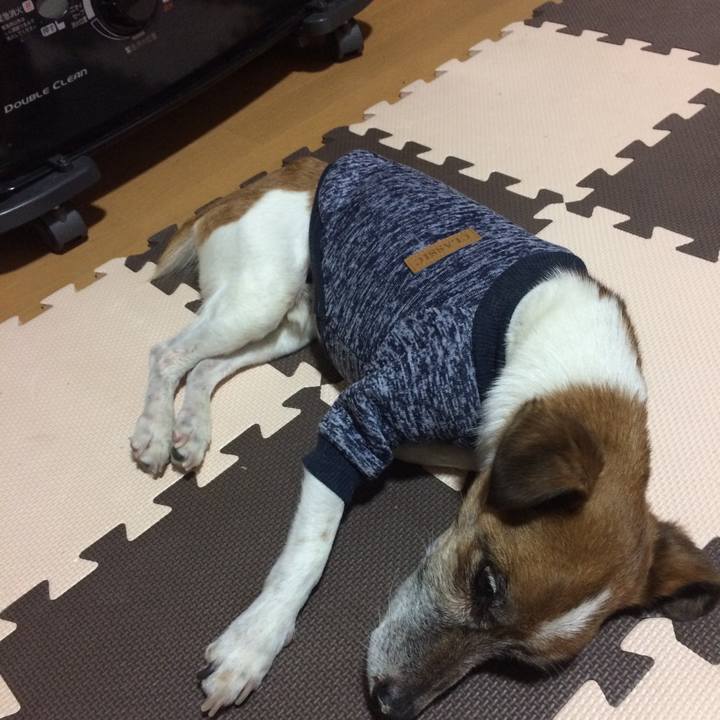 218959f6 b4c4 4071 8a2f a4d14203291d 1518259273951