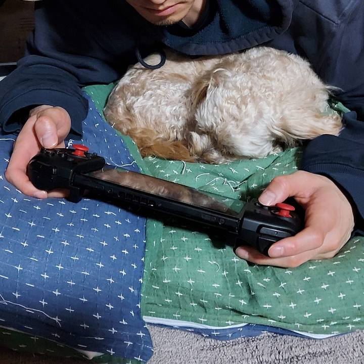 21896e96 89e2 46d9 8da0 cfa2d536b84b 1638105502945