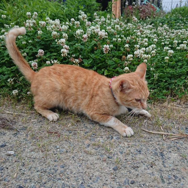 218973de 0f4d 48d4 b4b9 97277591b2f2 1559854601437