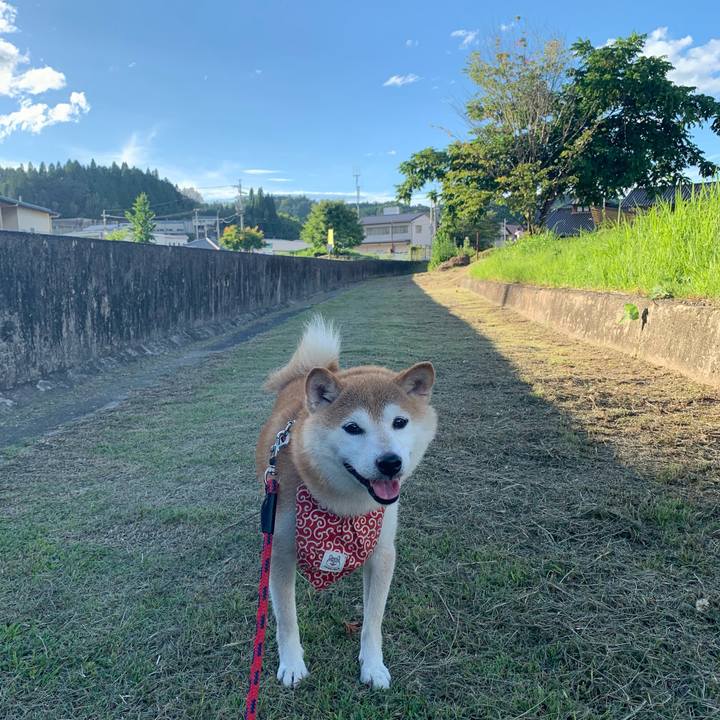 2189959c 9525 48b0 a552 da41a6b27542 1660909509273