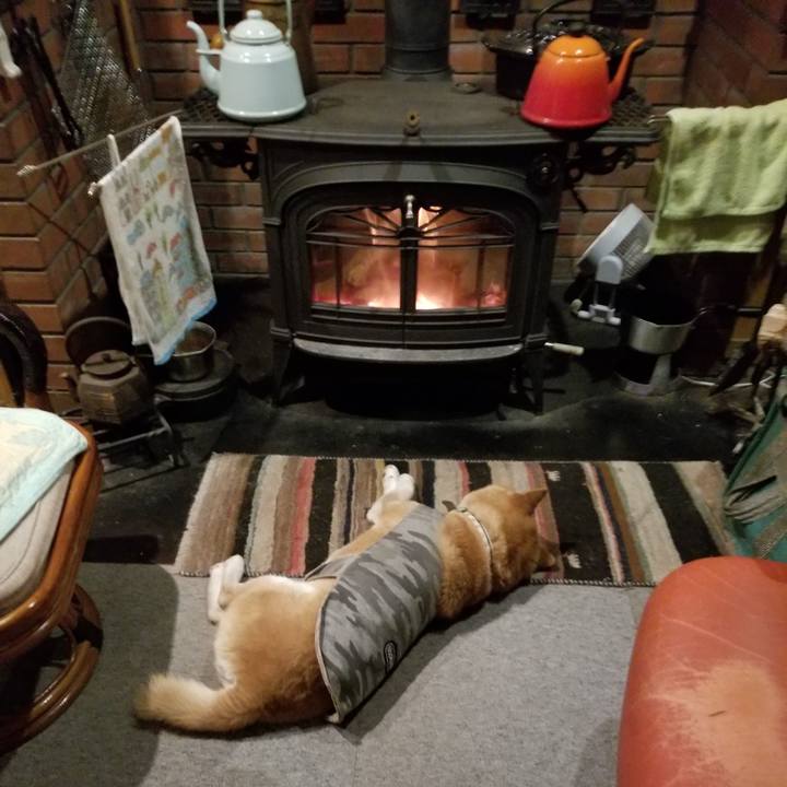 218a04e4 f301 4d17 926f 780ee3a18340 1616670774697