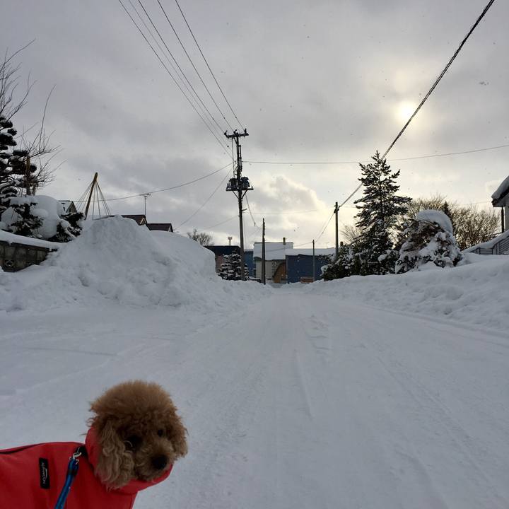 218a2831 df3d 4b6d bd41 c779877dc0ab 1514456610666