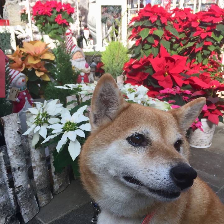 218a304d d015 478b 9c99 d7a32c2abe08 1543041268704