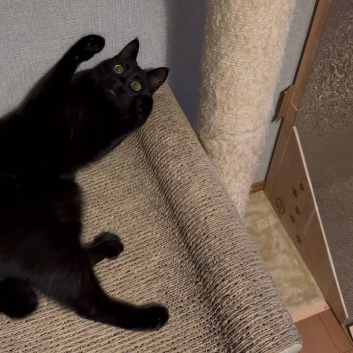 218a38c6 0210 491c 843b 35d261a27cea 1760608989942