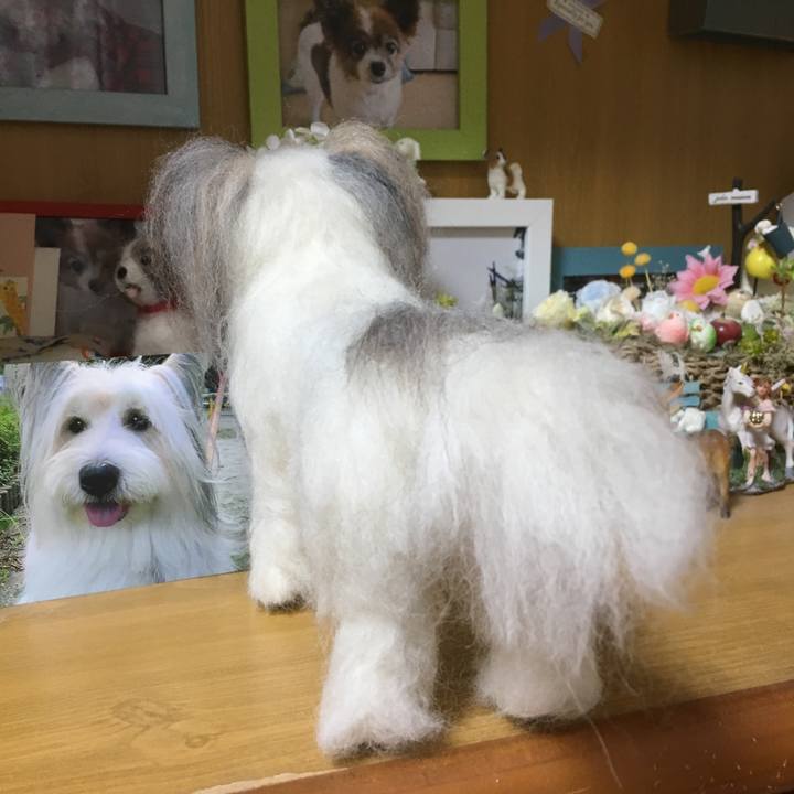 218a5e6a d31c 418c b050 77e32c33a192 1569939680436