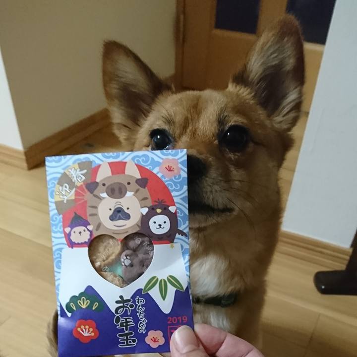 218a6ac1 6e1d 4239 8594 c586d7cacbdc 1547214282844