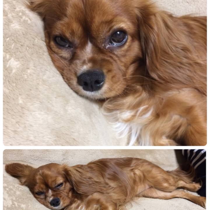 218a760e 3a64 4b9a 9ad9 762eb3da9a23 1522152812207