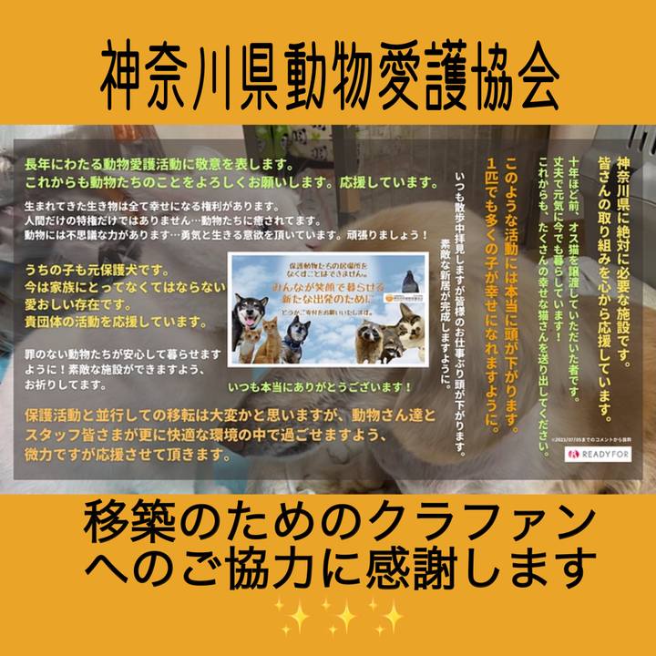 218a7bdb 5adf 43cb 8117 a74061ccddcf 1689633642442