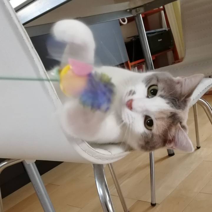 218a82e3 8991 4b4b 81ad c3898e34a88f 1560480398030