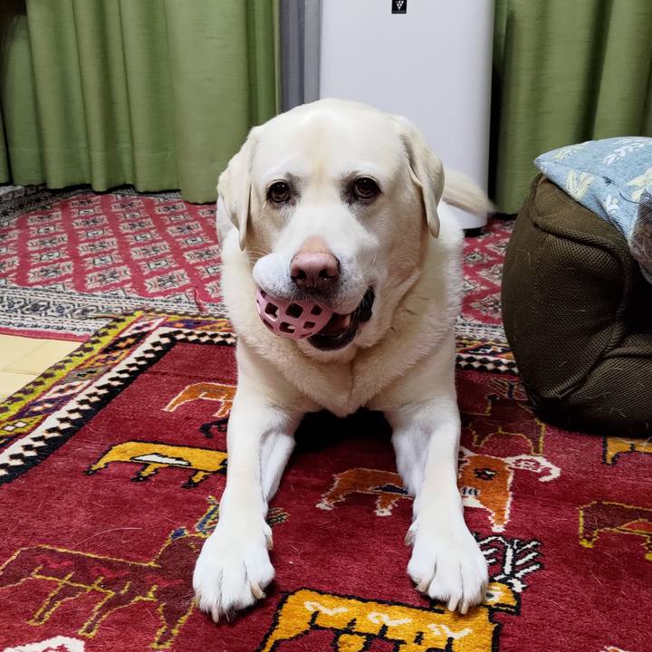 218aada2 8bec 4c3e aac2 d134cfa1c218 1708434316189