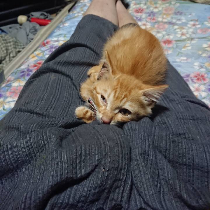 218b1131 c4a6 42d0 95e3 646e1d331780 1628164482533