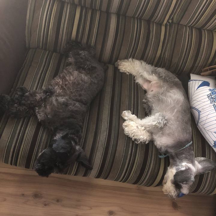 218b22ab 59bf 4dcb 917d 732ada71d640 1564030168226