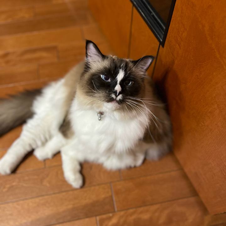 218b364a 3fa7 4e7d 9991 8ff4bf7d9bff 1642765248135