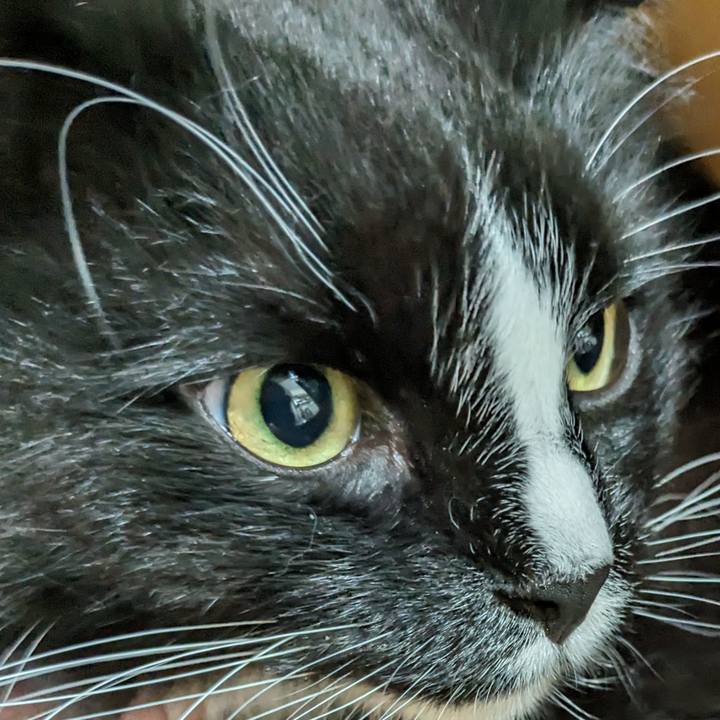 218b9c46 9ce1 4562 b7d8 34b8f72c69e7 1716045817295