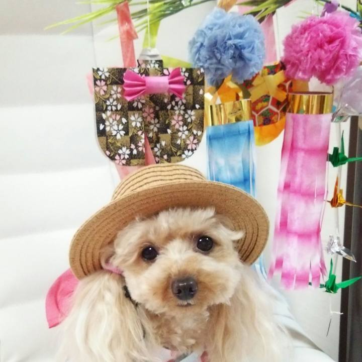 218ba2b1 3fbd 4bcd ade1 3acb234bc99d 1530963718490