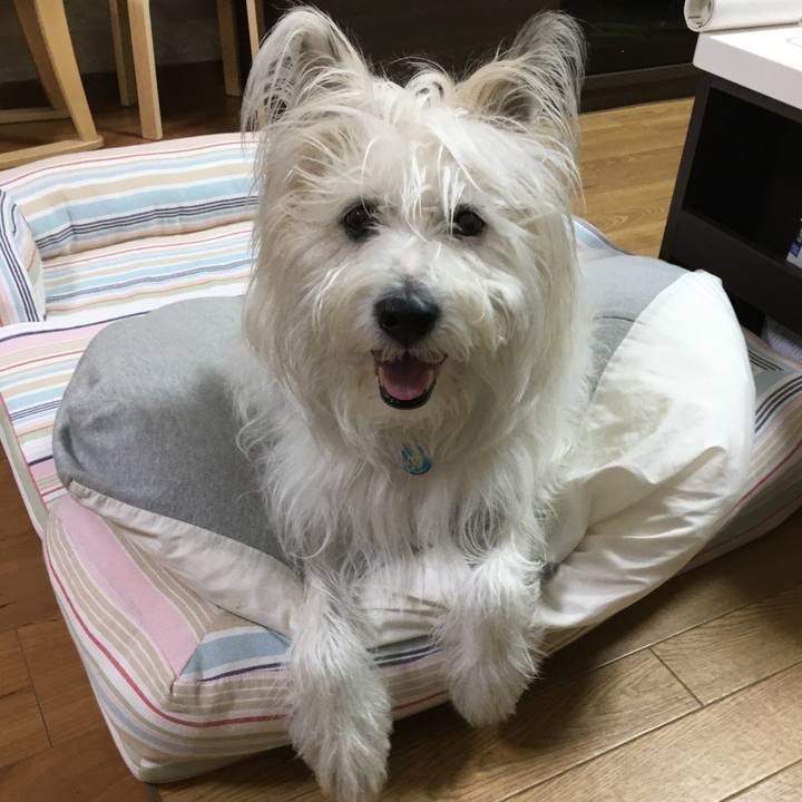 218c5764 5677 4779 80c4 884eed1b97a1 1623748313382