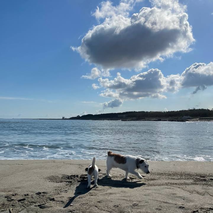 218c8695 89a2 44d6 98a9 b7749cf0f5ce 1620690748097