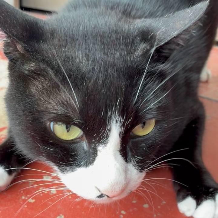 218c8f46 60d7 42b7 ba48 fa6eee39ffde 1750558254306