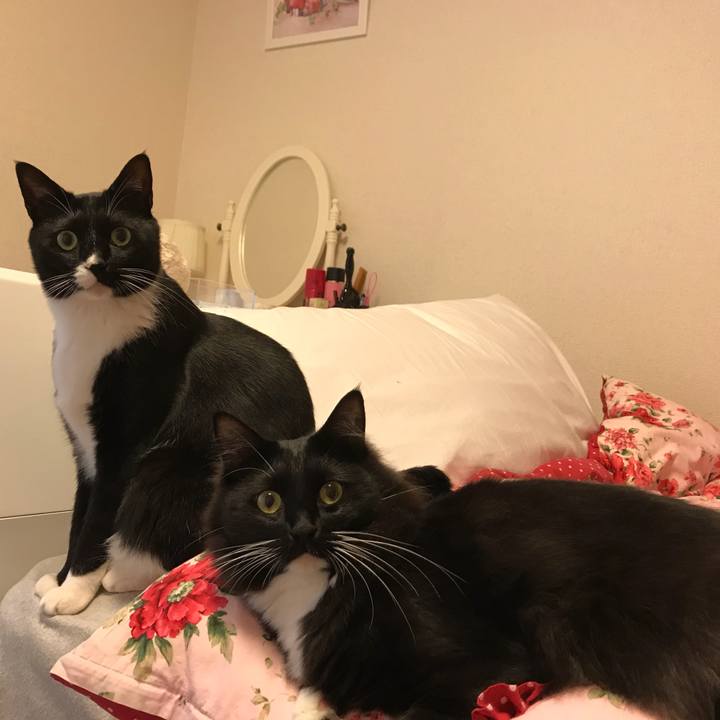 218c9f6b 4ecb 4b4c 8652 19fd615ba016 1524180574177