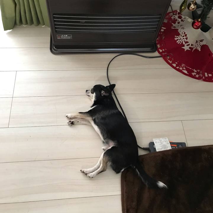 218c9fc2 b2ce 4f01 91b9 60a99a123786 1545345911963