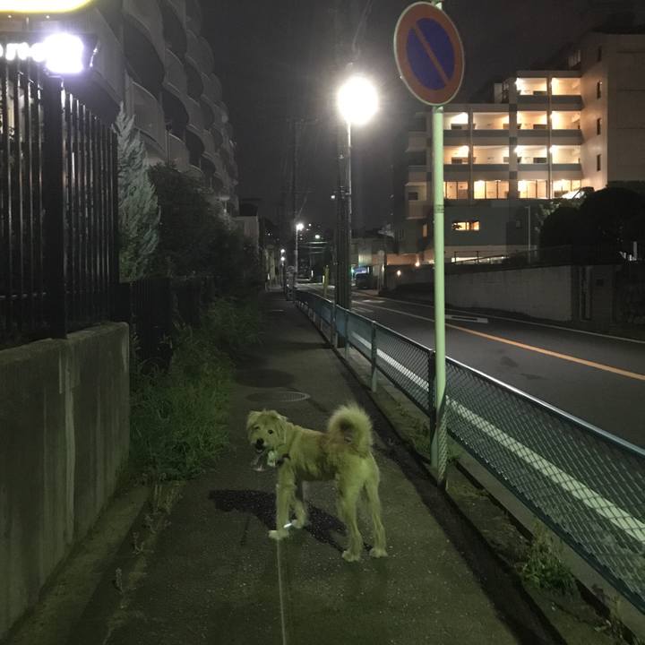 218ca13f b323 4e55 bd98 ee1732cd663d 1532351974765