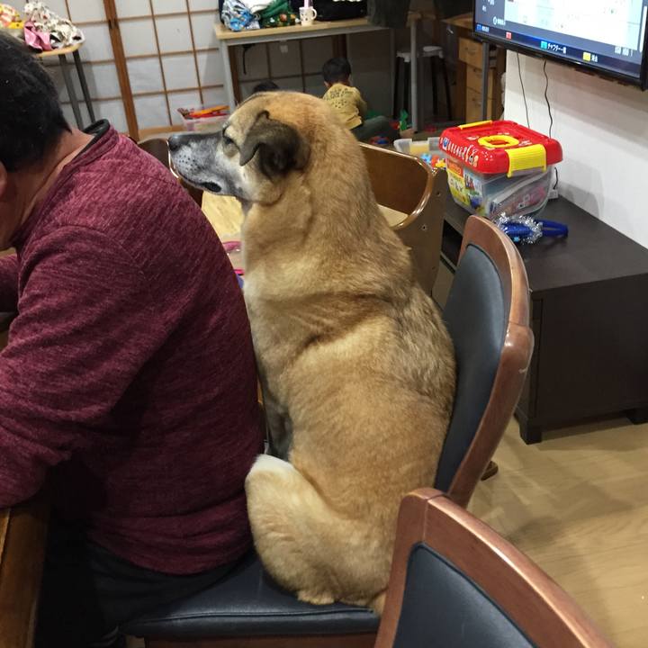 218cd53a 6041 49e0 bb99 f67573cd7b3a 1510393699065