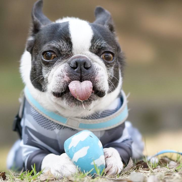 218cfe55 3e9c 4da0 a2cf d7b0233fe6fc 1520135579718