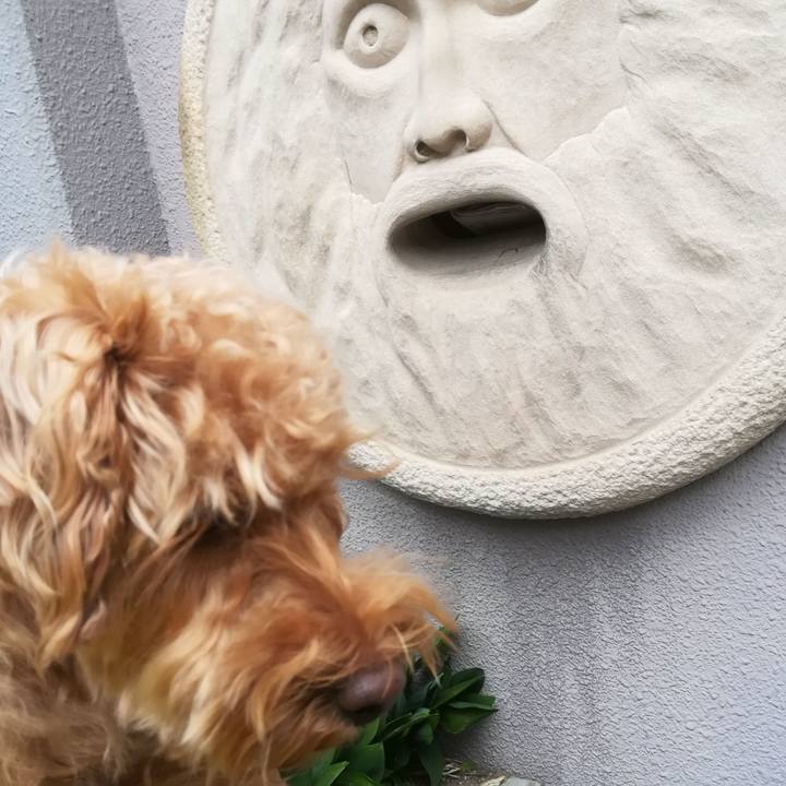 218d03eb b0d0 4423 986d 29afe9c72ef0 1528502193023