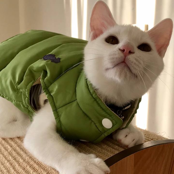 218d37d3 aa57 4d1d 94ff f19d73d0d6a5 1573098587895