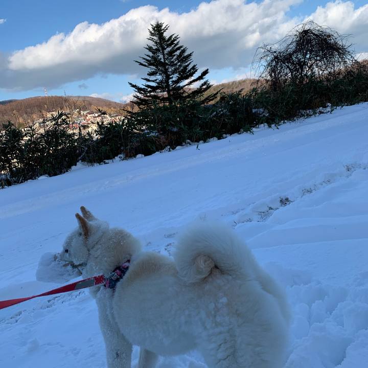 218d5ef8 44b9 4f48 8686 c4f26a57f075 1576218675946