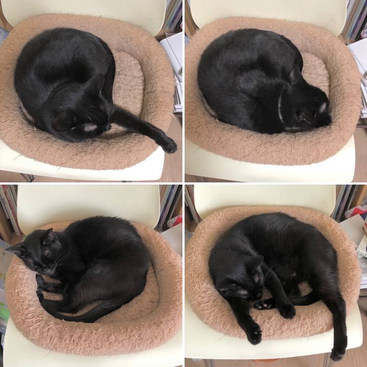 218d6fa9 b2d8 4a92 9094 cc657654440c 1620519207570