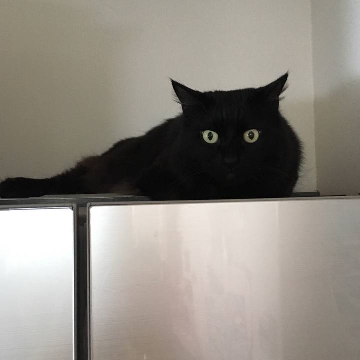 218d929c 56bc 4eaa b078 40aceca00850 1514881525794