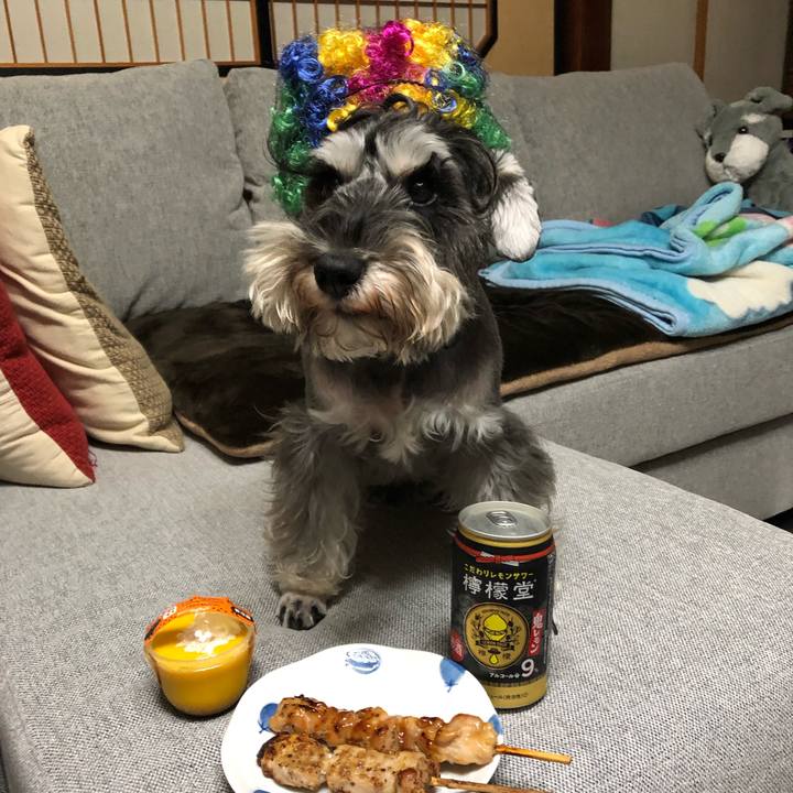 218dd80a f1bb 485b 998e 8fac87e07261 1572520317982