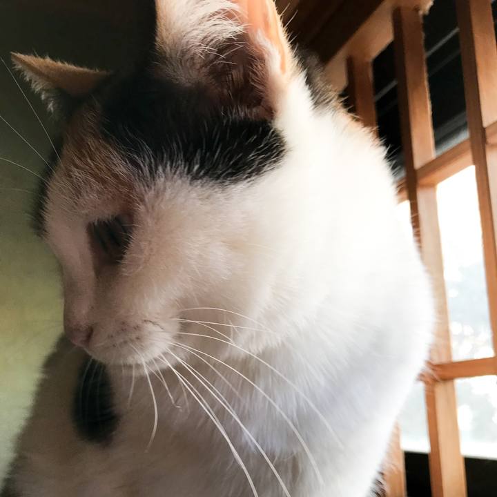 218de2ce 8603 4214 b425 2979d5843a19 1516323118757