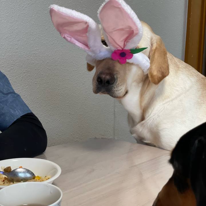 218de8fb 2f39 4b41 a1f2 d21798fc6e8b 1665374922036