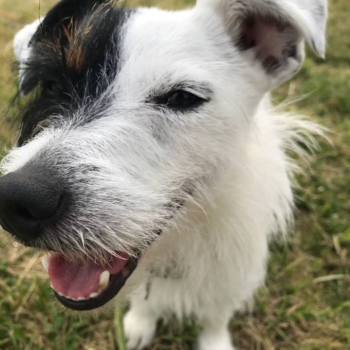 218dea5c 4f82 475e a51a afc4b42598b6 1526634520130