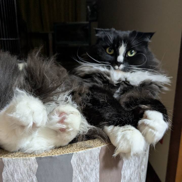 218e0c6d 8475 4d6f 9ab4 5122d6ac1b0b 1773501855439