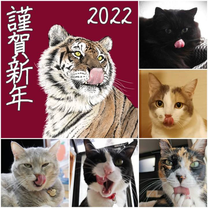 218e21a4 85a6 4fd5 90c2 10ca964f15e5 1640996035702